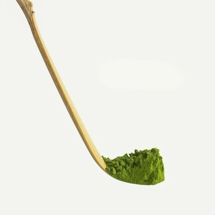Fine matcha powder on a bamboo scoop